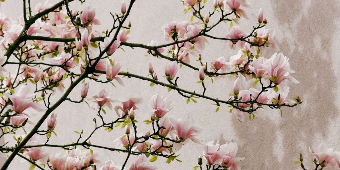Your spring skincare refresh